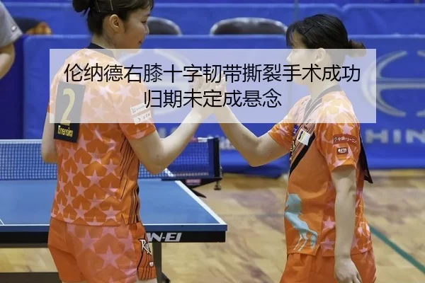 lun-na-de-you-xi-shi-zi-ren-dai-si-lie-shou-shu-cheng-gong-gui-qi-wei-ding-cheng-xuan-nian-2-410.jpg