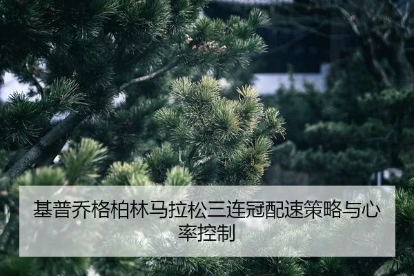 ji-pu-qiao-ge-bo-lin-ma-la-song-san-lian-guan-pei-su-ce-lve-yu-xin-lv-kong-zhi-3-237.jpg